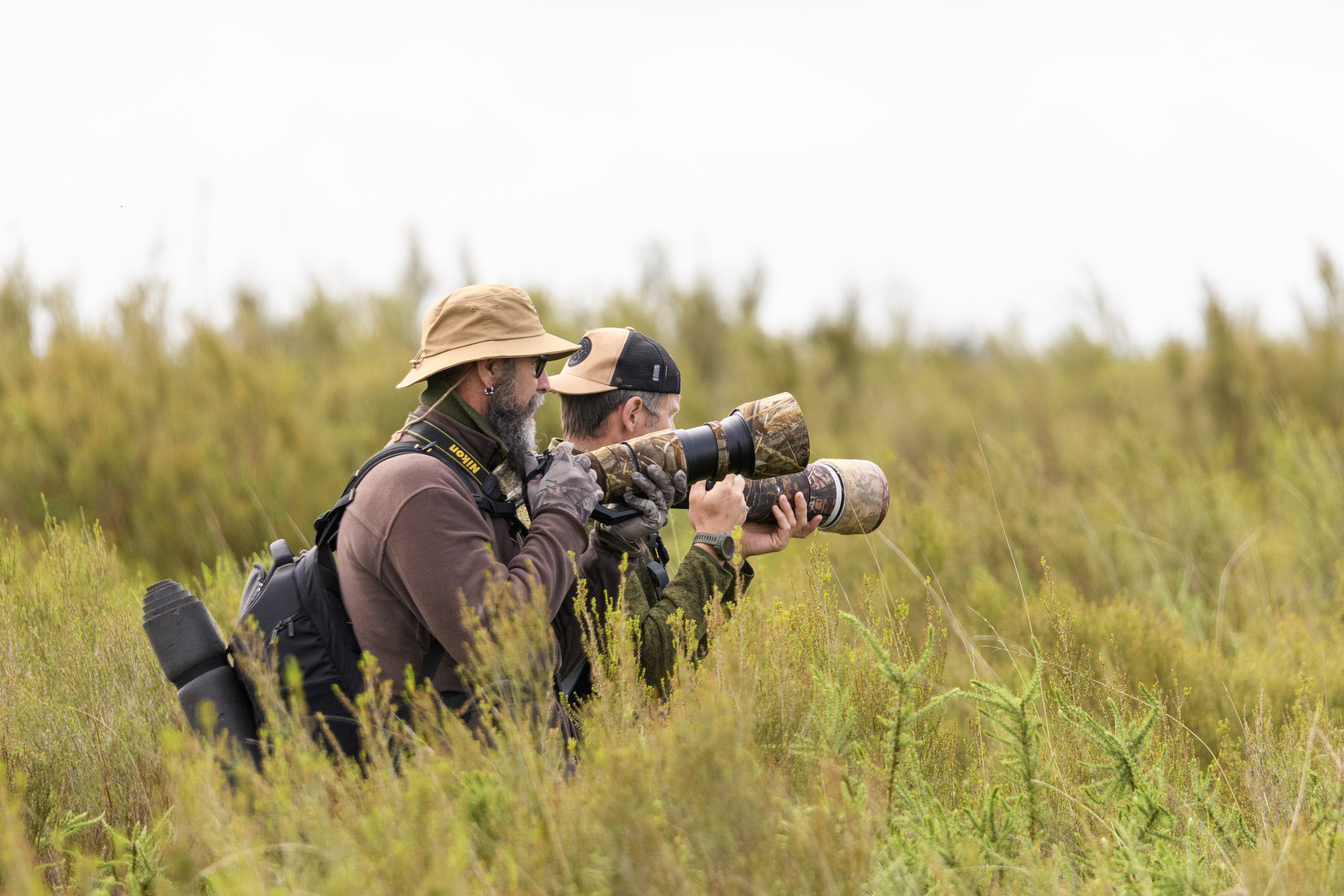 Caméra Natura 2.jpg (11.37 MB)