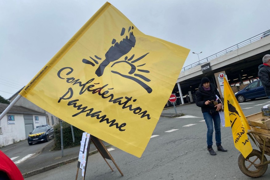 La Confédération Paysanne parlait mercredi de Dermatose Nodulaire à Secondigny